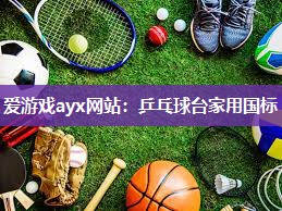 爱游戏ayx网站：乒乓球台家用国标