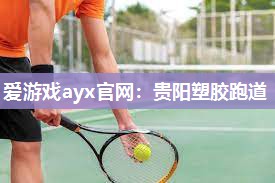 爱游戏ayx官网：贵阳塑胶跑道