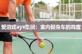 爱游戏ayx集团：室内健身车的高度