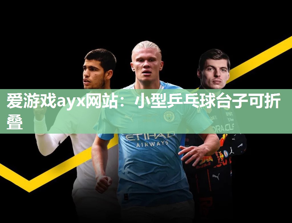 爱游戏ayx网站：小型乒乓球台子可折叠