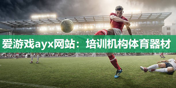 爱游戏ayx网站：培训机构体育器材