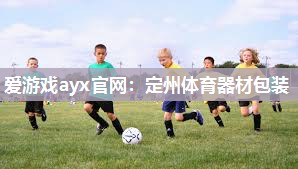 爱游戏ayx官网：定州体育器材包装