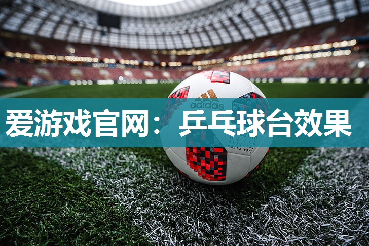 爱游戏官网：乒乓球台效果