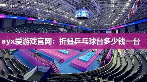 ayx爱游戏官网：折叠乒乓球台多少钱一台