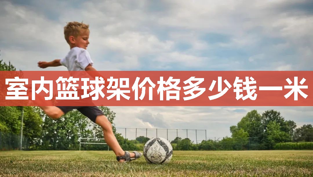 室内篮球架价格多少钱一米