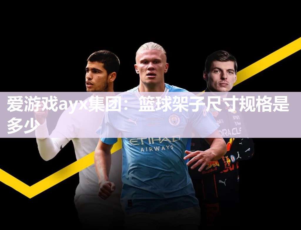 爱游戏ayx集团：篮球架子尺寸规格是多少