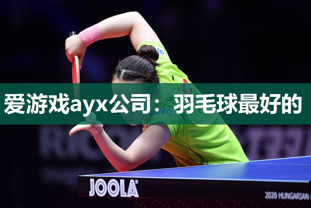 爱游戏ayx公司：羽毛球最好的