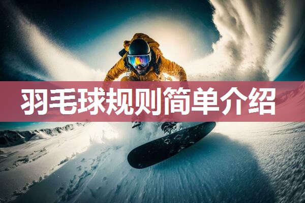 羽毛球规则简单介绍