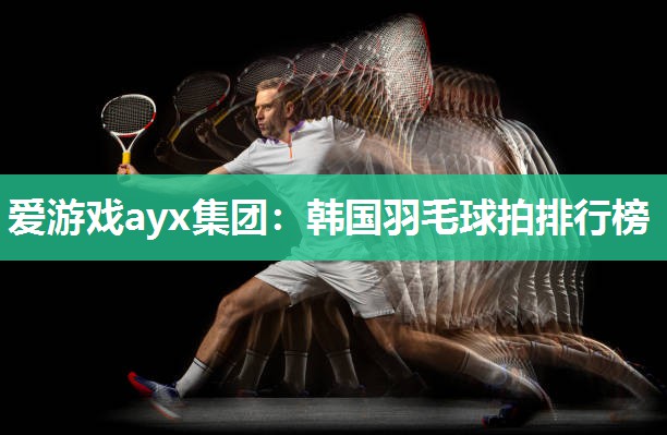 爱游戏ayx集团：韩国羽毛球拍排行榜