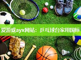 乒乓球台家用国标