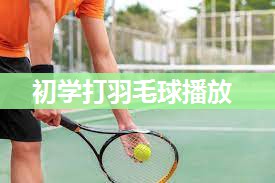 初学打羽毛球播放