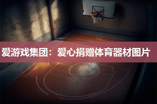爱心捐赠体育器材图片