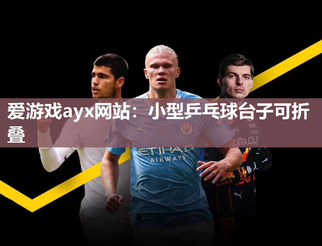 小型乒乓球台子可折叠