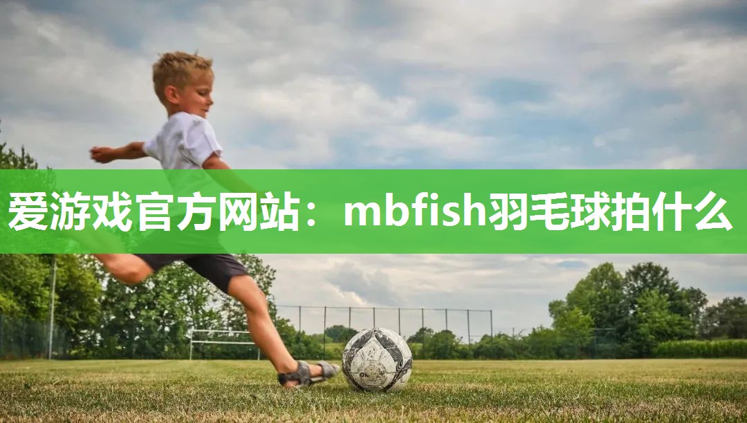 mbfish羽毛球拍什么