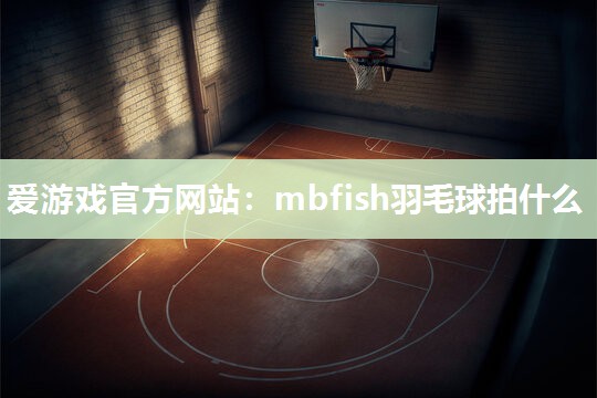 mbfish羽毛球拍什么