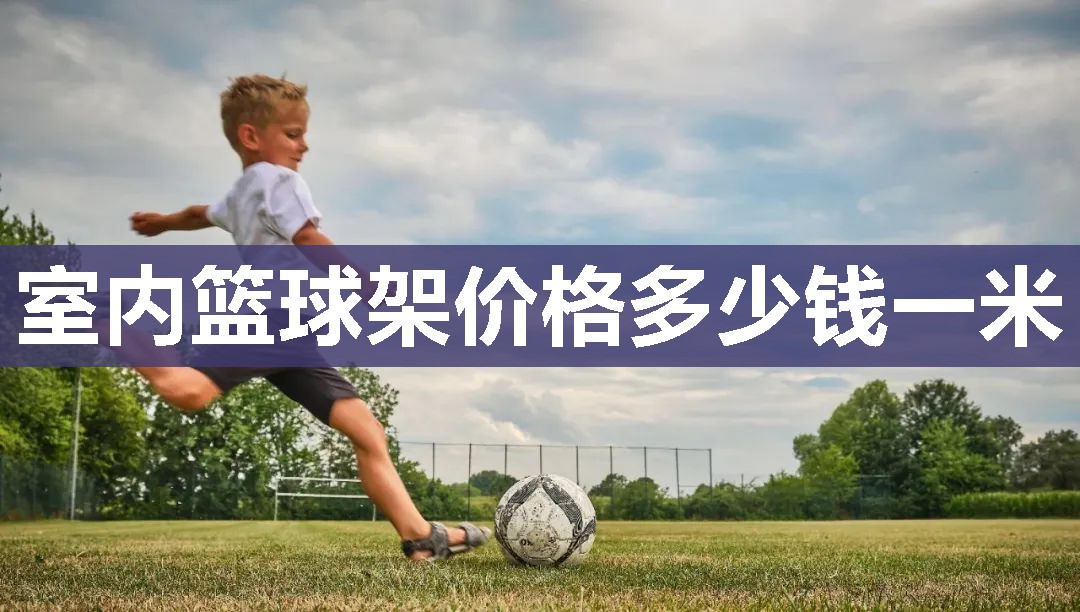 室内篮球架价格多少钱一米