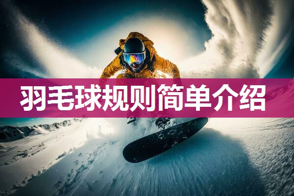 羽毛球规则简单介绍