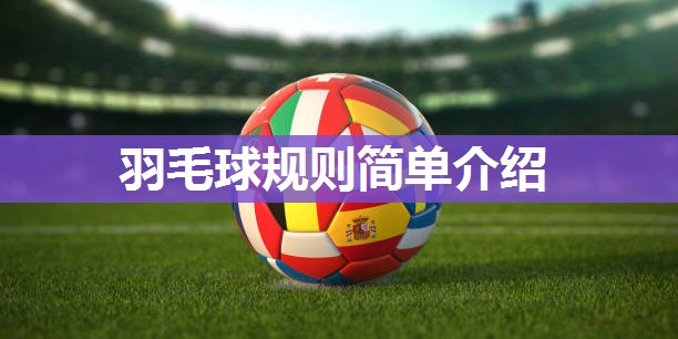 羽毛球规则简单介绍